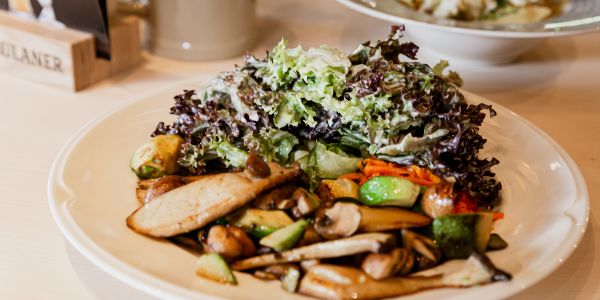 Salat mit Kräutersaitlingen